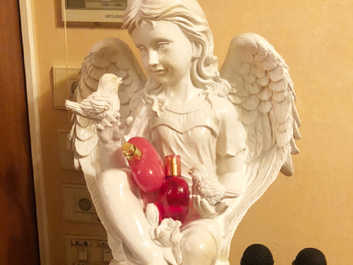 Angel Heart～エンジェルハートの画像