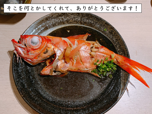 イシバシハザマコラム画像5