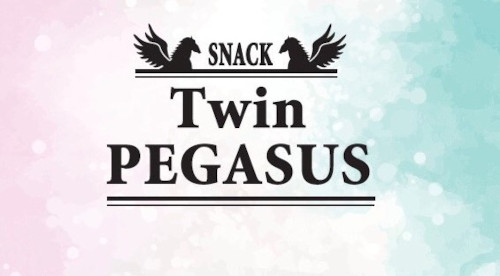 スナック Twin PEGASUS～ツインペガサス～男性用5枚目