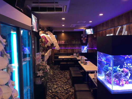 Snack & Bar Chip～チップ～求人アルバイト用2枚目詳細