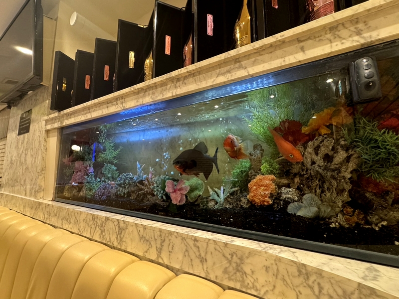 AQUA MARINE男性用1枚目詳細