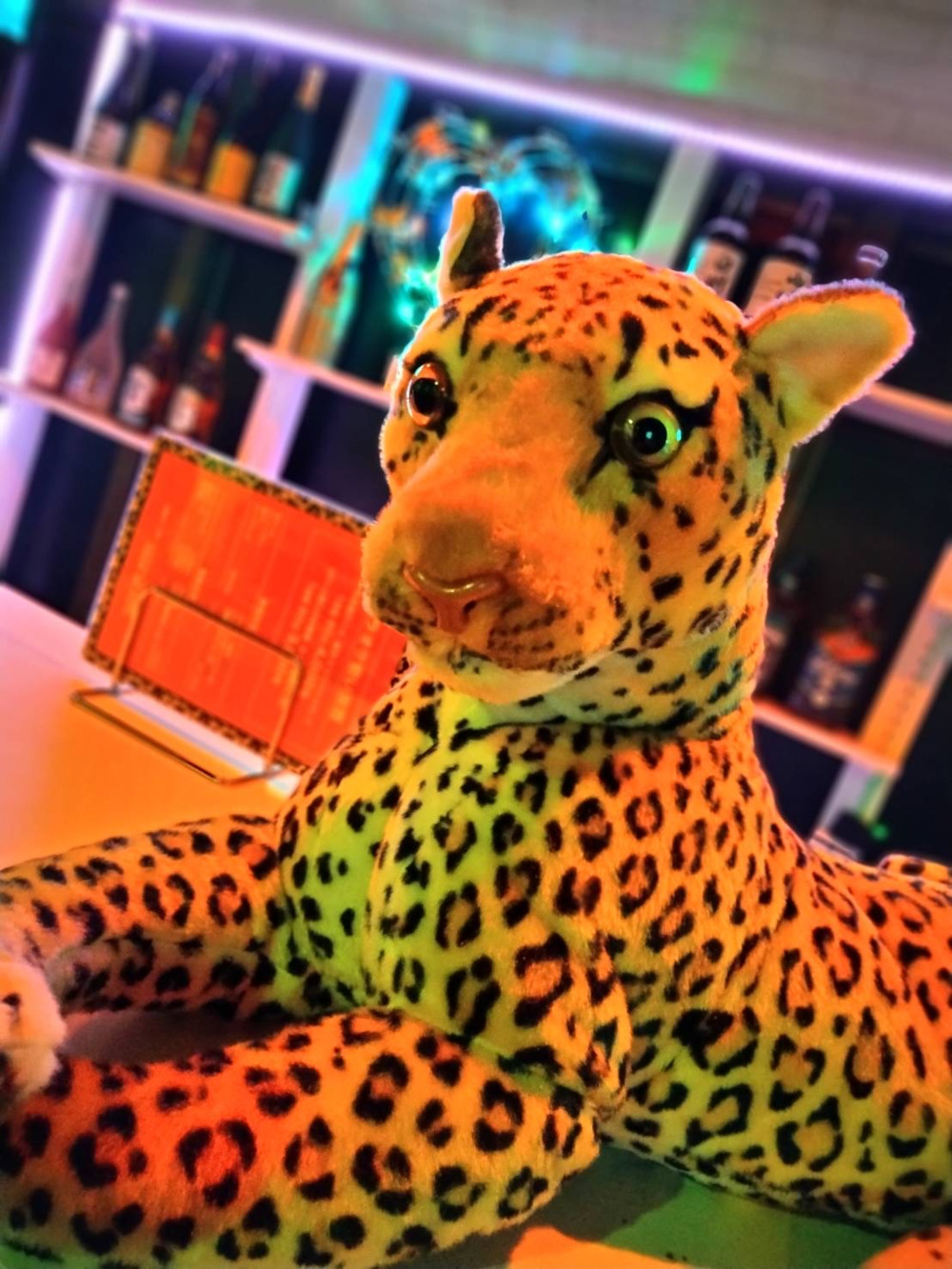 カラオケ・スナック和～なごみ～求人アルバイト用3枚目詳細