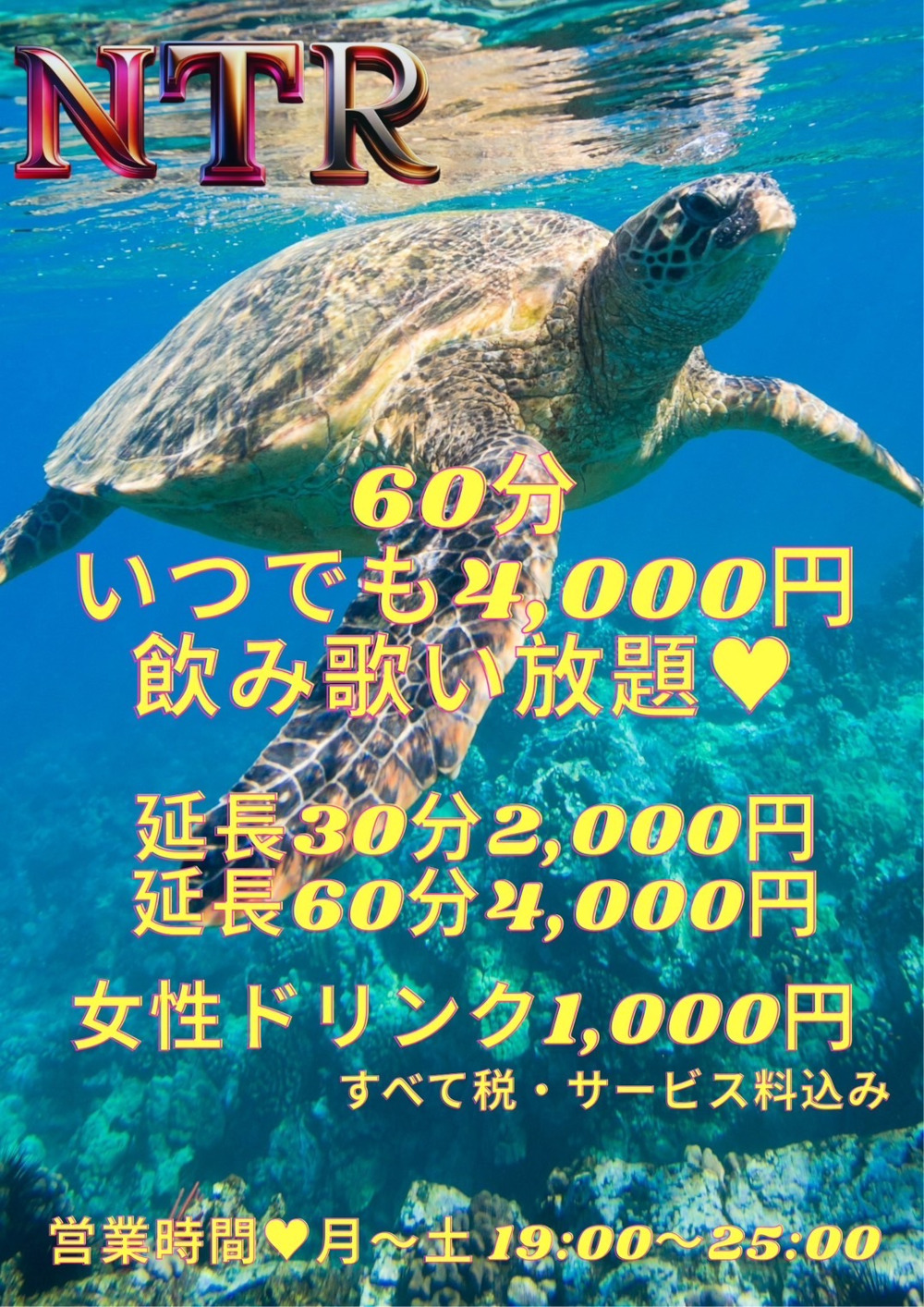 NTR男性用3枚目詳細
