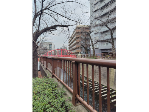 中目尻32男性用3枚目詳細