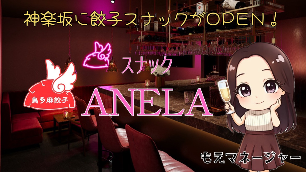 鳥多麻餃子スナックANALA男性用2枚目詳細